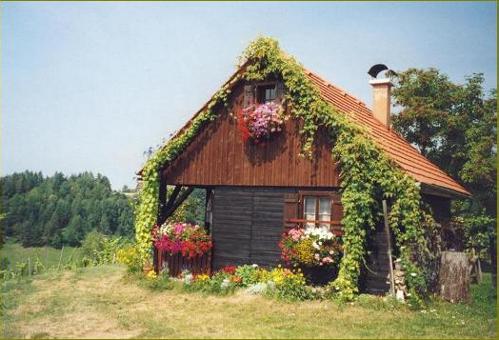 Bergwacht-Hütte