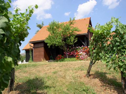 Bergwacht-Hütte