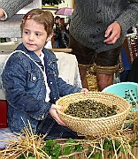 kids_330
