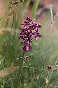 morio_040